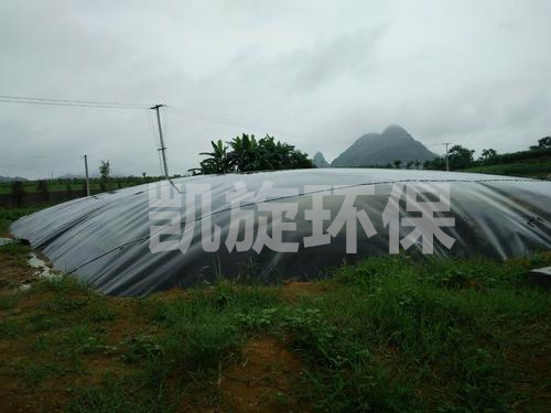 黑膜沼气池